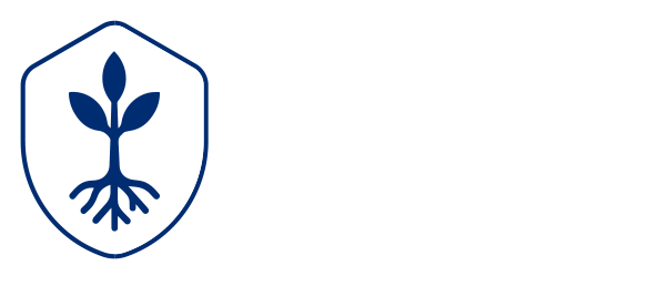 Rooted in Spain